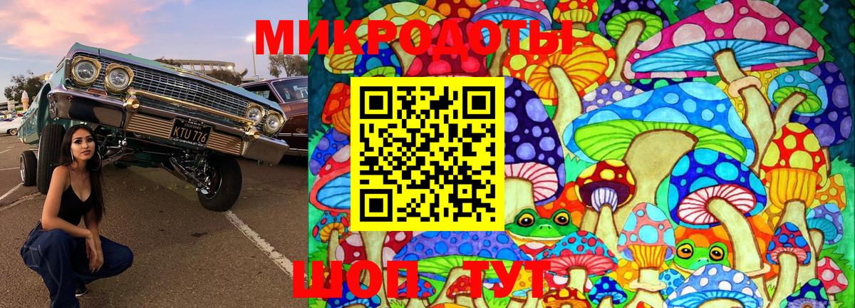 Галлюциногенные грибы ЛСД Гатчина