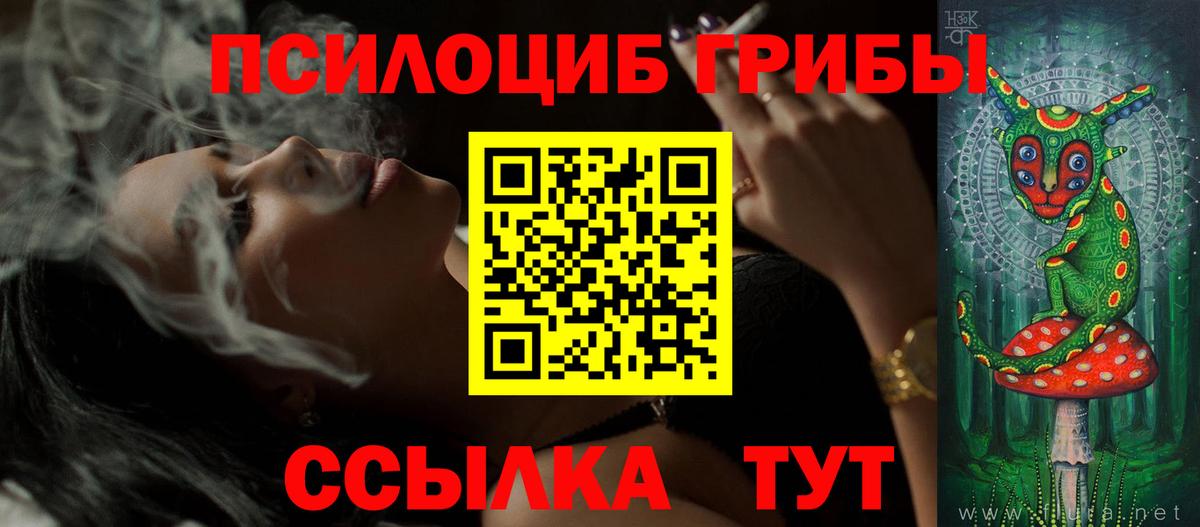Псилоцибиновые грибы мицелий  Вход с VPN  Псилоцибиновые грибы GOLDEN TEACHER  как найти закладки  Гатчина 
